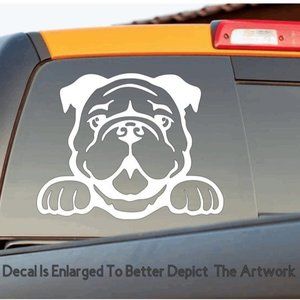 Bulldog vinyl decal for your car 7 inch design